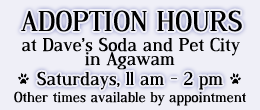 adoption-hours adoption-hours