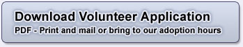 Volunteer Application - PDF