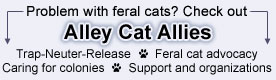 Alley Cat Allies: Feral Cats